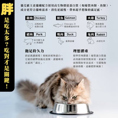 Dr. Elsey's超級博士貓艾歐｜無穀主食貓罐 150g4