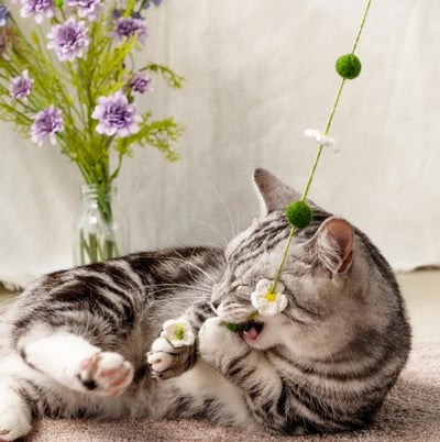 春日花與貓系列 逗貓棒｜超凝小姐2