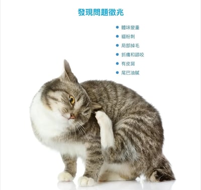 木入森MORESON 貓咪膚立好(適用皮膚敏感) 寵物保健 營養品 Cat Health2