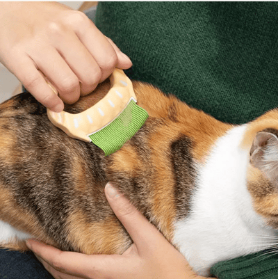 DogCatStar 汪喵星球 日本 Philocomb 寵物貝殼梳7