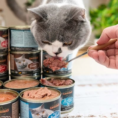 德國 LEONARDO 里奧納多 精燉鮮肉主食貓罐 200g/400g3