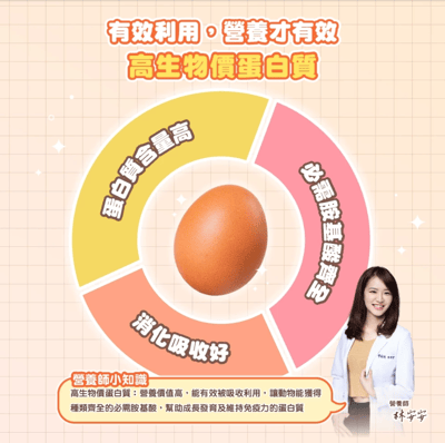 肉球世界 搖搖鮭魚蛋黃無穀貓糧3