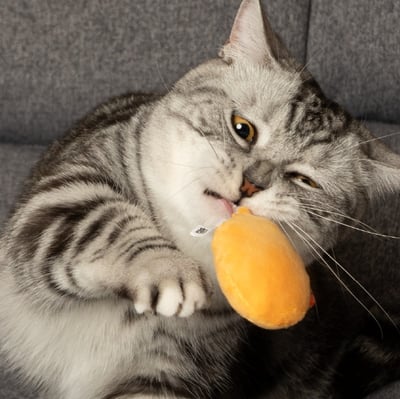 怪獸部落LitoMon ｜ CHILL紓壓貓草包6