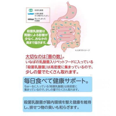 CIAO 啾嚕肉泥膏 柴魚片 宗田鰹燒魚柳條4