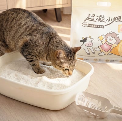 0黏底瞬效凝結木薯砂【淡雅奶香】| 超凝小姐8