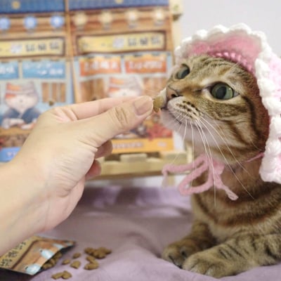 吶一口 貓脆餅4