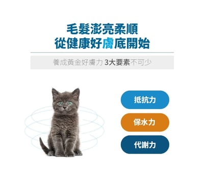 木入森MORESON 貓咪膚立好(適用皮膚敏感) 寵物保健 營養品 Cat Health4