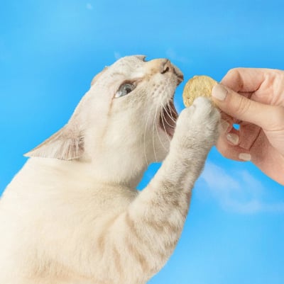 怪獸部落LitoMon 凍乾主食｜ 開胃山海鮮肉餅3