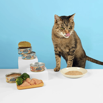 怪獸部落LitoMon 貓用｜開胃慕斯主食罐4