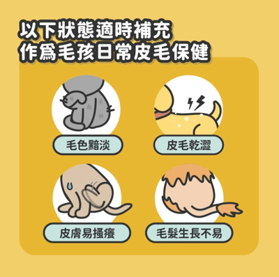 陪心機能PLUS | No.1全食物型態皮毛保健粉3