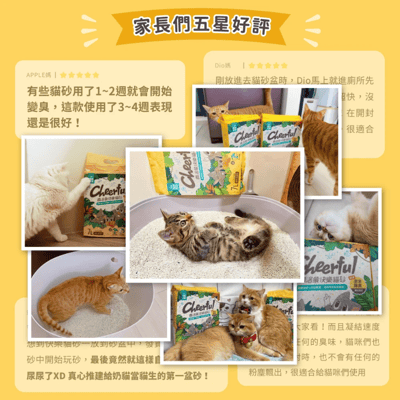 【整箱免運】怪獸部落LitoMon 費洛蒙快樂貓砂-豆腐砂 2.7kg3