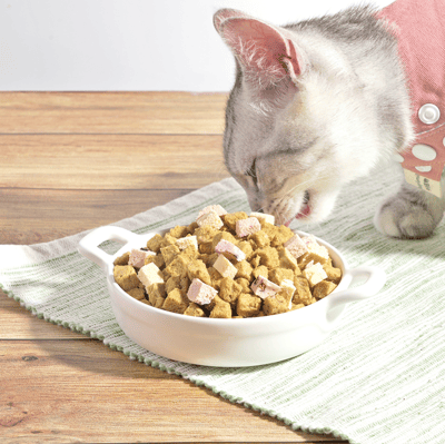 DogCatStar 汪喵星球 ×馬修嚴選 機能優格丁5