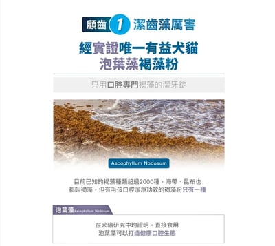 木入森MORESON 貓咪固齒麗 口滴劑 潔牙錠 寵物 口滴劑 牙齒乾淨 口腔清潔6