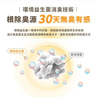 【整箱免運】汪喵星球Dog Cat Star 益生菌消臭瞬凝木薯砂 2.4kg7