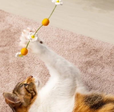 春日花與貓系列 逗貓棒｜超凝小姐5