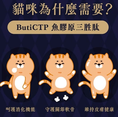 【Abao 阿寶】貓｜魔鏡膠原燉餐包 45g3