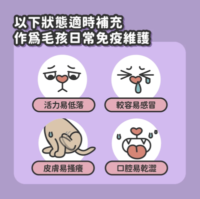 陪心 犬貓 No.1 天然莓果免疫保健粉45g3