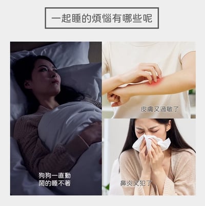 【團購8/23~8/30】人寵共用｜可拆洗懶骨頭床墊3