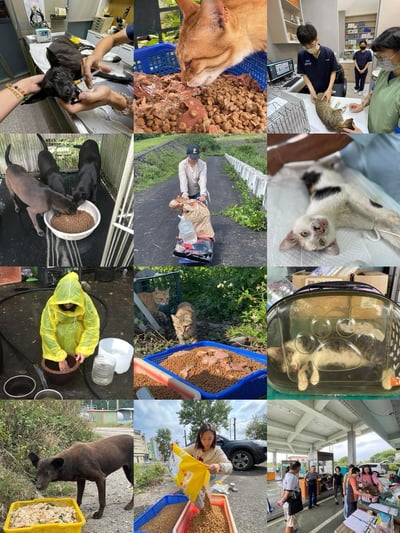 社團法人宜蘭浪孩協會認購專區4