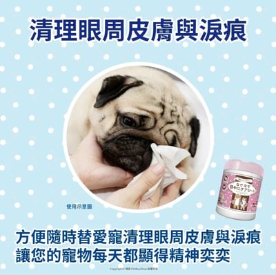 日本 HONDA YOKO 本田洋行 清潔濕巾 犬貓專用 60抽 口腔 眼睛 耳朵 肉球 寵物濕巾 無酒精10