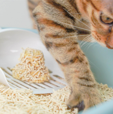 nu4PET  豆砂包｜超凝結條型豆腐貓砂2