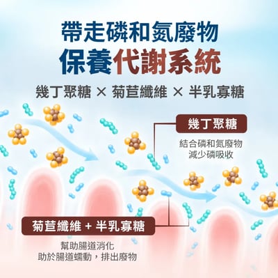 Heromama【毛掌醫學】腎臟 保健肉泥 | 寵物腎臟保健 貓狗適用13