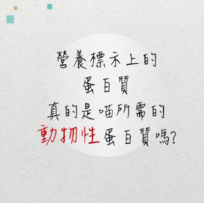 SEEDS惜時 MamaMia 愛貓軟凍餐罐 170g4