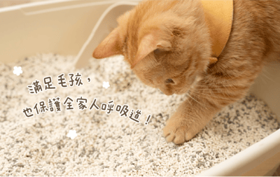 【整箱免運】DogCatStar 汪喵星球 益生菌消臭豆腐砂/泌尿健康檢測隱血砂9