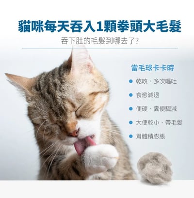 木入森MORESON 貓咪排毛粉 毛髮吐出 腸胃保健 營養補充 腸道呵護3
