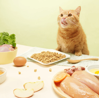 汪喵星球 貓咪 凍乾主食餐 (小方粒型)7