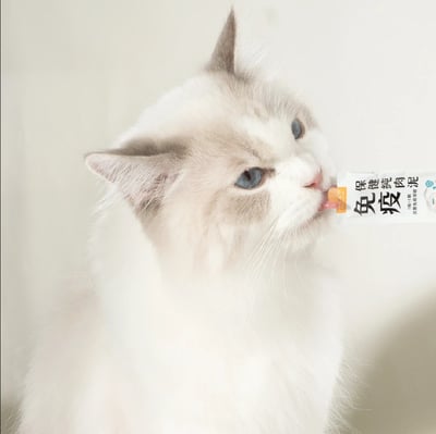 汪喵星球 ｜免疫保健純肉泥9