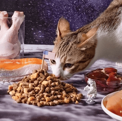 怪獸部落LitoMon 貓用｜美國太空凍乾生肉糧 140g3