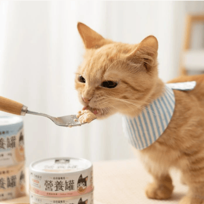 DogCatStar 汪喵星球  幼母貓營養無膠主食罐  80g&165g5