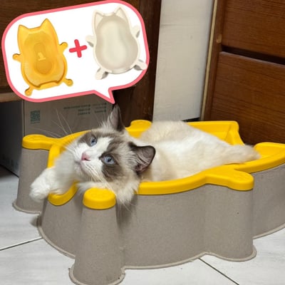 SOKURI 貓籃 | 韓國 CatBang9