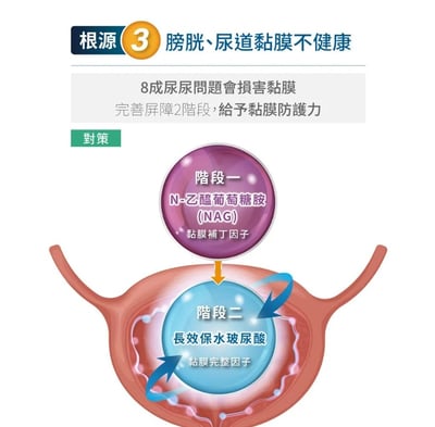 木入森MORESON貓咪好規泌(泌尿道)6