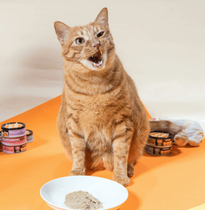 肉球世界 歪嘴貓主食罐 80g5