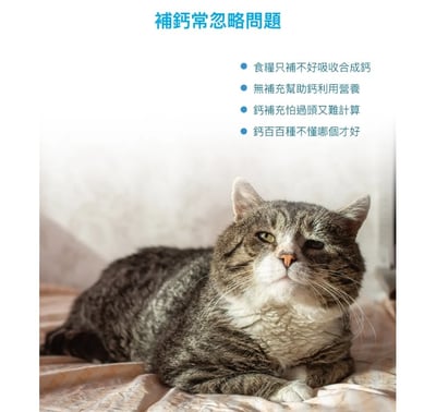 木入森MORESON 貓咪D藻鈣(補鈣 骨骼健康) 寵物保健 營養品 Cat Health2