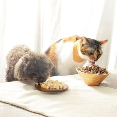 DogCatStar 汪喵星球 冷凍乾燥原肉小零嘴｜小丁狀4