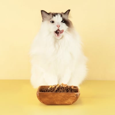 HEROMAMA  Topping拌飯營養晶球6