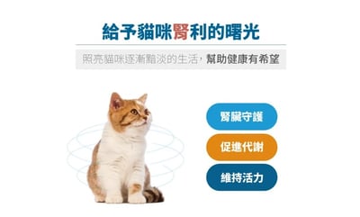 木入森MORESON 貓咪保腎利(腎臟保養) 寵物保健 營養品 Cat Health8