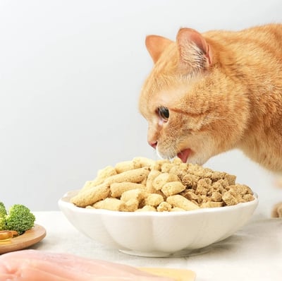 汪喵星球Dog Cat Star 幼貓凍乾主食餐11