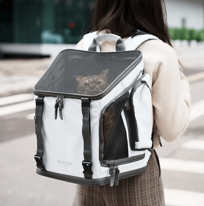 DogCatStar 汪喵星球 小方塊二代｜寵物外出包3