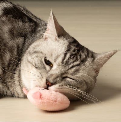 怪獸部落LitoMon ｜ CHILL紓壓貓草包7