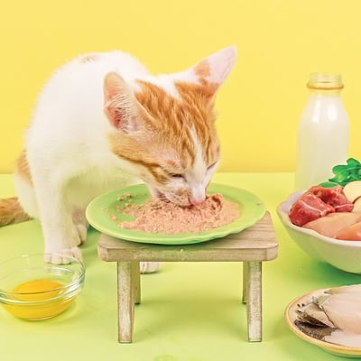 怪獸部落LitoMon 貓用｜寶寶無膠主食罐 82g/165g3