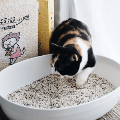 免運 超凝小姐｜益生菌除臭豆腐砂 全品項6