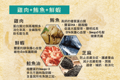 CALIMBA 德國凱琳-無穀主食貓罐 200g17