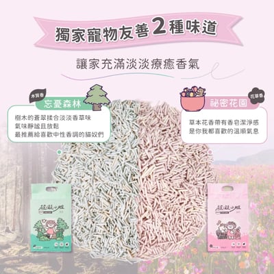 免運｜超凝小姐 益生菌除臭豆腐砂【居家小清新】3