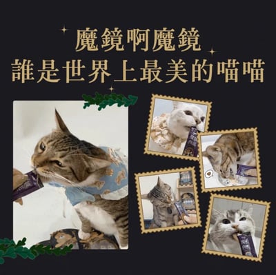 Abao阿寶 魔鏡肉泥 貓肉泥 (16g/4入) 4種機能【專利魚膠原+半乳寡糖】無人工膠 貓零食 營養點心6