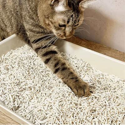 【整箱免運】DogCatStar 汪喵星球 益生菌消臭豆腐砂/泌尿健康檢測隱血砂4