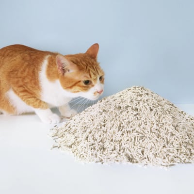 免運 超凝小姐｜益生菌除臭豆腐砂 全品項15